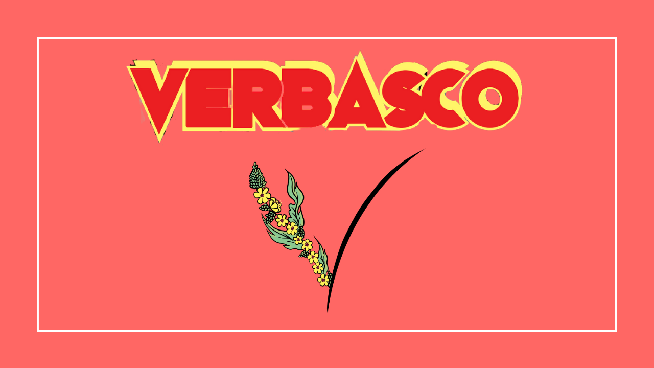 verbasco